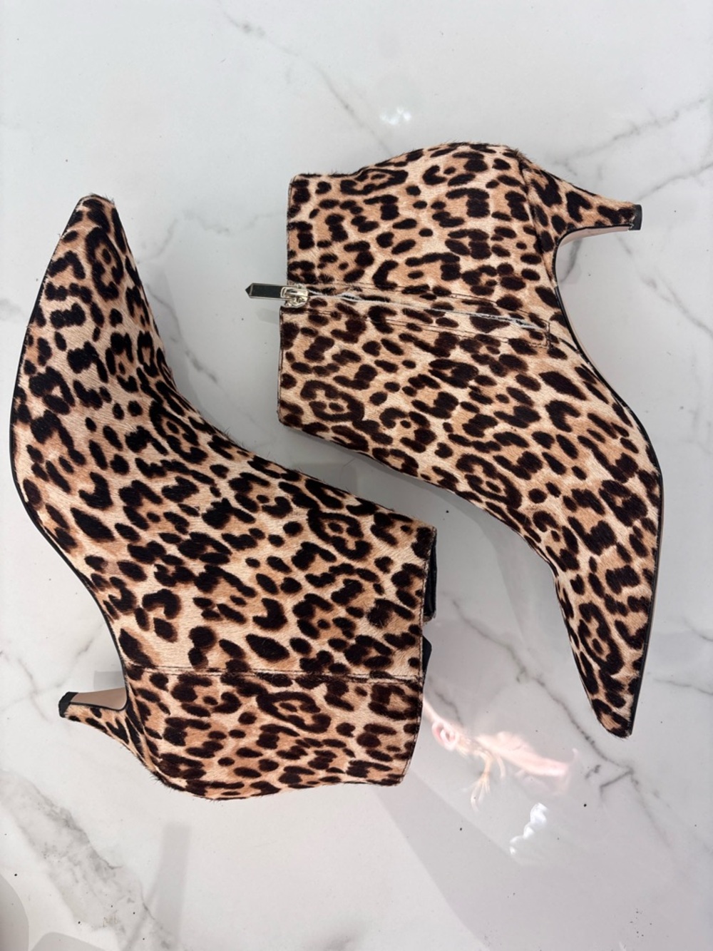 Sam Edelman Leopard Zip Ankle KinIe Booties Size 9 Kitten Heel Festival mobwife - Picture 2 of 10